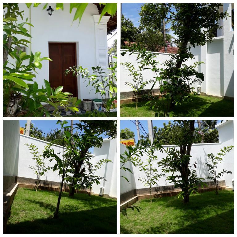 Best Inn Villa Mirissa Zewnętrze zdjęcie